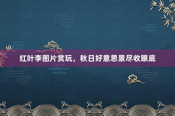 红叶李图片赏玩，秋日好意思景尽收眼底